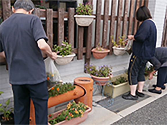 花壇の整備