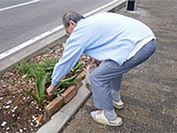 元生花市場で働いていた知恵を使って園芸管理